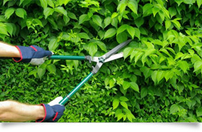 Mantenimientos integrales en Comunidades de propietarios Mantenimientos integrales en Comunidades de propietarios